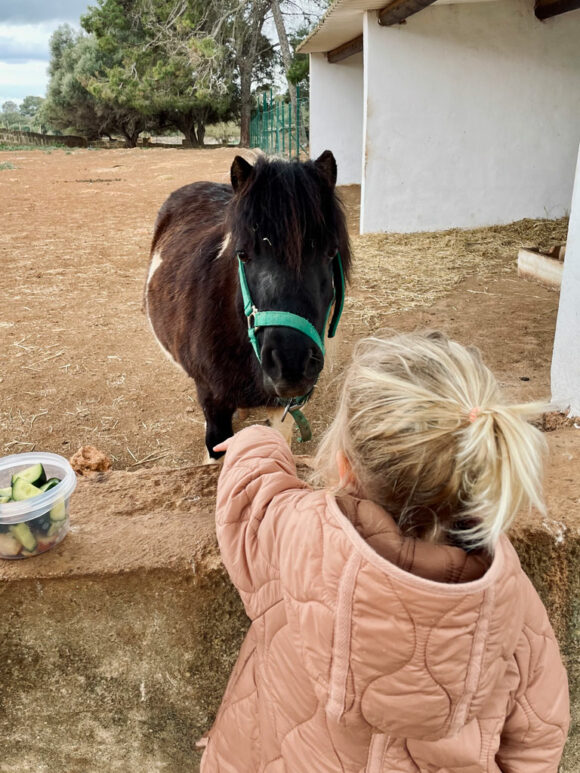 Besucht Fresopolis mit Kindern auf Mallorca an Ostern